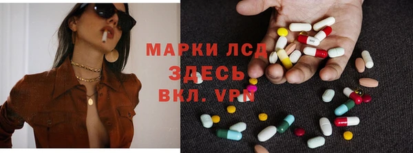 PSILOCYBIN Белокуриха