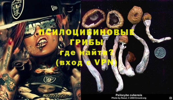 соль курить ск Сосновый Бор