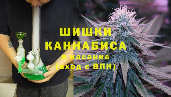 PSILOCYBIN Белокуриха