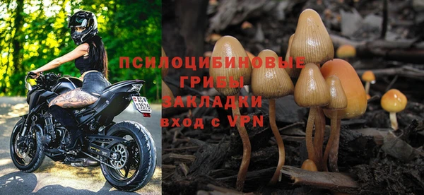 PSILOCYBIN Белокуриха