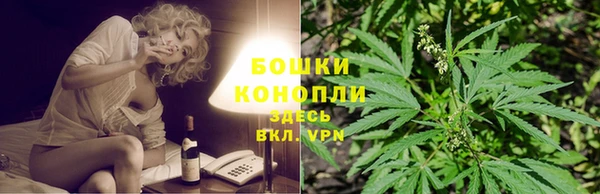PSILOCYBIN Белокуриха