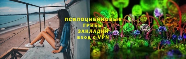 гидра Белоозёрский