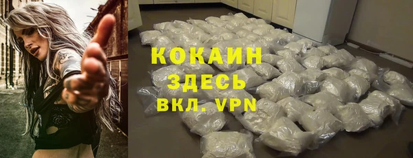 PSILOCYBIN Белокуриха