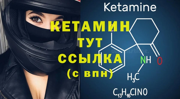 PSILOCYBIN Белокуриха