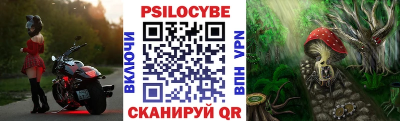 закладка  Горняк  ссылка на мегу tor  Галлюциногенные грибы прущие грибы 